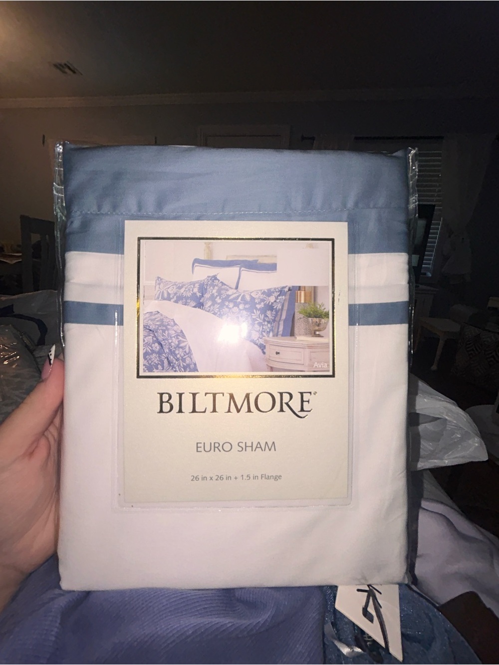 White and Light Blue Euro Sham